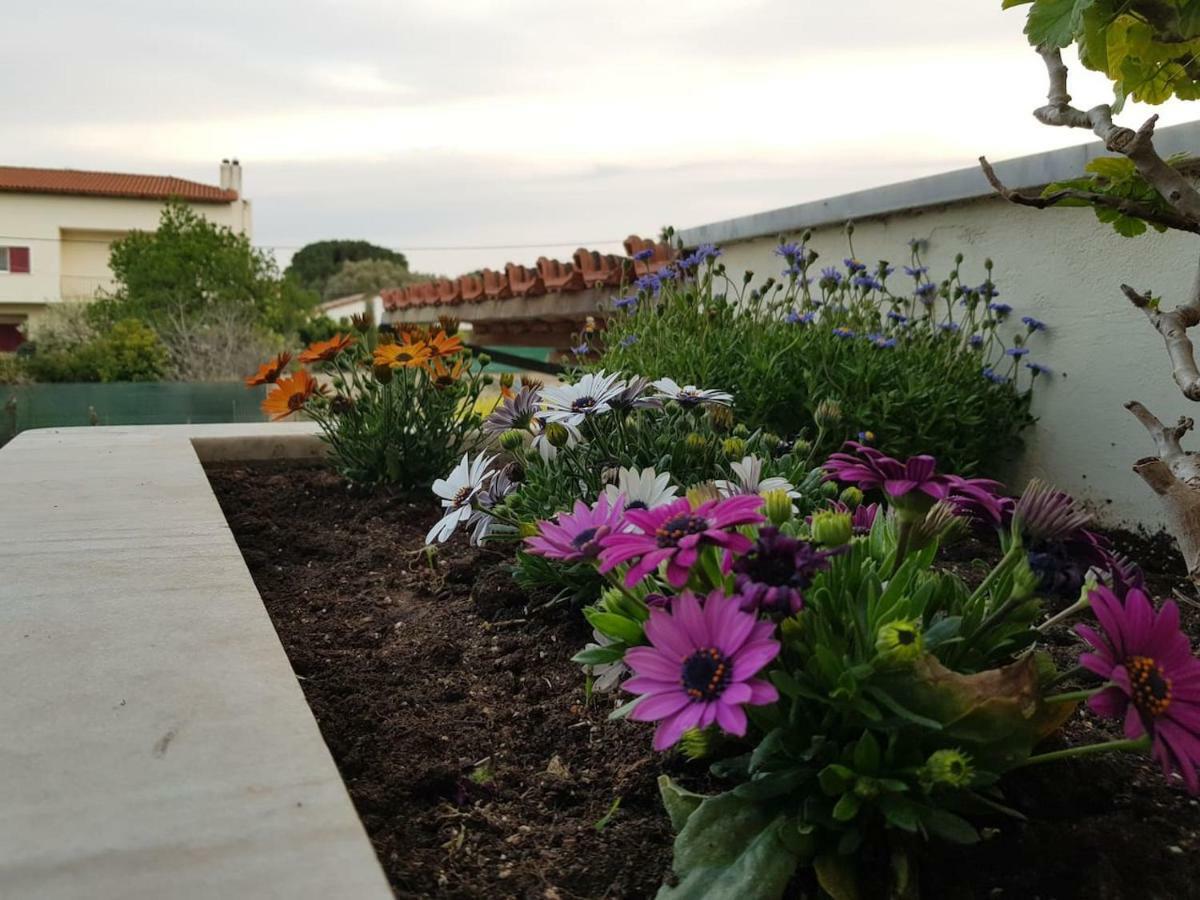 Néa Mákri Anna'S Sweet Home מראה חיצוני תמונה
